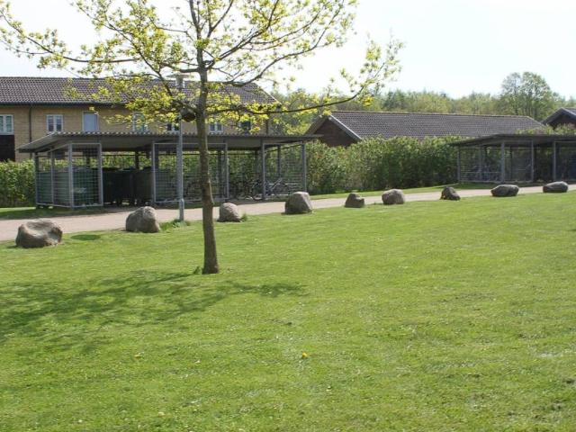 Hus til leje i Odense