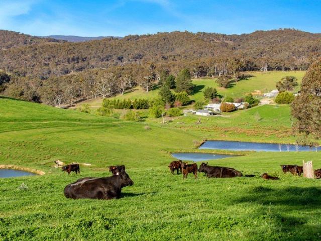 Cottage for sale in Peelwood, Binda
