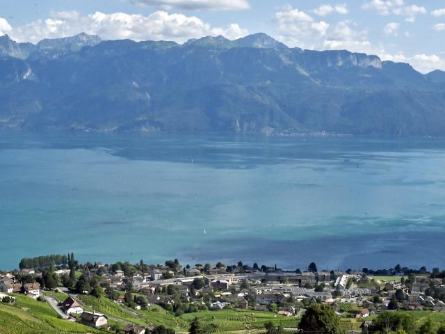 Maisonette kaufen in Grandvaux, Bourg-en-Lavaux