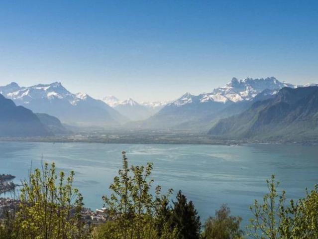 Wohnung kaufen in Bourg-en-Lavaux, Waadt