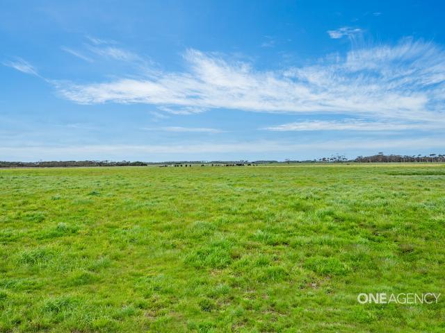 Property for sale in Scopus, Tasmania