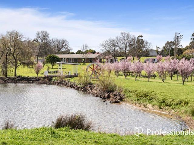 House for sale in Camerons Creek, Victoria