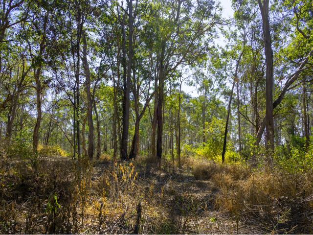 Property for sale in Taromeo, South Burnett Regional