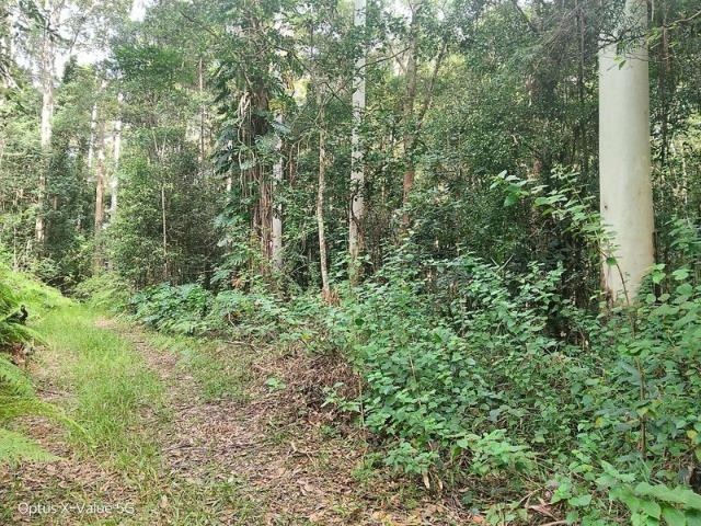 Land for sale in Kings Creek, Queensland