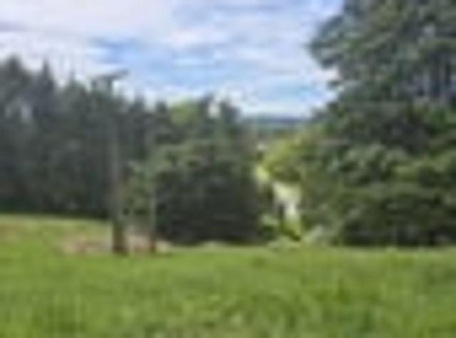 Land for sale in Te Wairoa