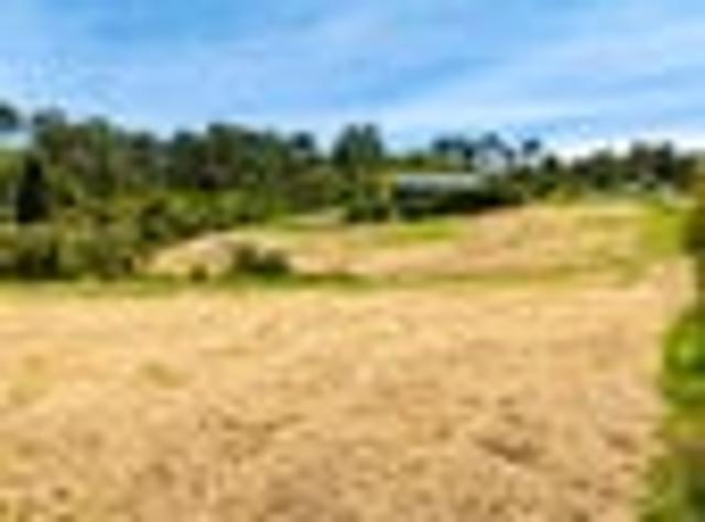 Land for sale in Kawau Island