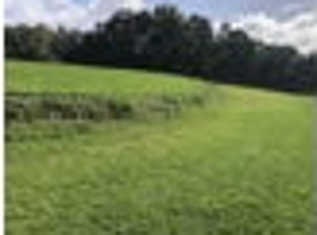 Land for sale in Waihi, Waikato