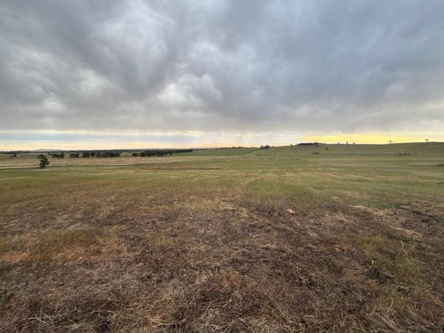 Land for sale in Forbes, Forbes Shire Council