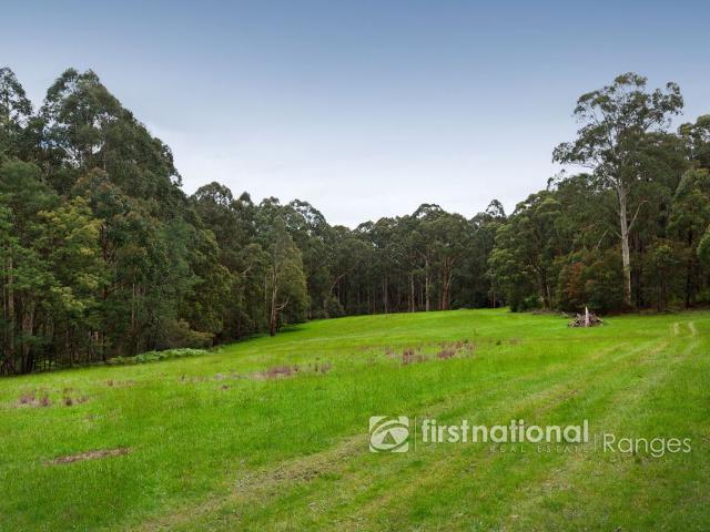 Land for sale in Camerons Creek, Victoria