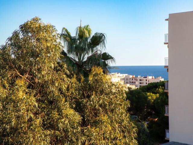 Appartement vente à Grasse, Cannes