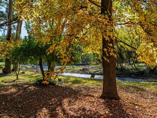 House for sale in Freeburgh, Victoria