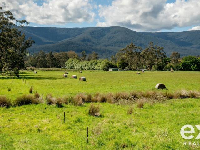 Property for sale in Camerons Creek, Victoria