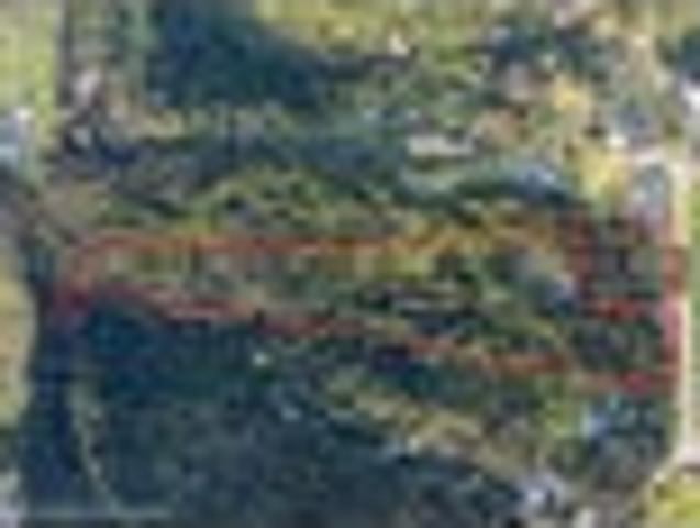 Land for sale in Northland