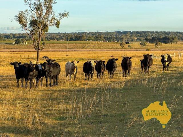 Cottage for sale in Kingaroy, Queensland