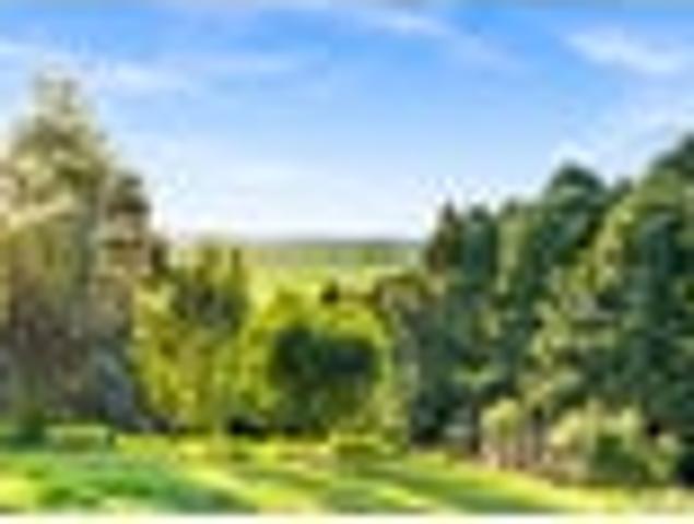 Land for sale in Whangarei, Northland