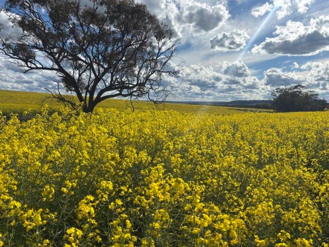 Property for sale in Gilgering, Western Australia