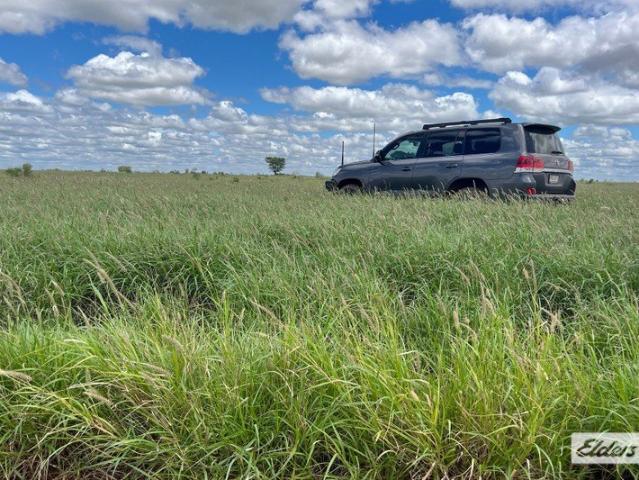 Cottage for sale in Begonia, Queensland