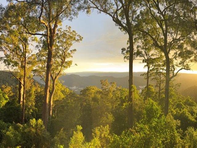 Land for sale in Gloucester, New South Wales