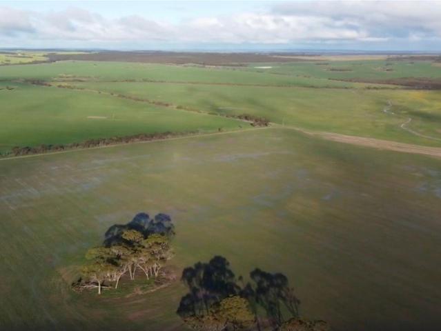 Land for sale in Mount Sheridan, Shire Of Lake Grace
