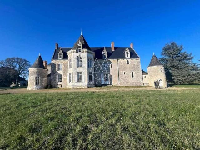 Maison vente à Chinon, Château-la-vallière