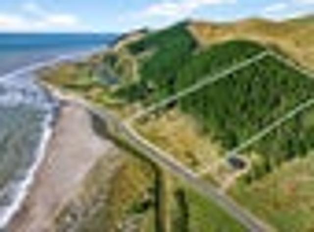 Land for sale in Opaki, Wellington