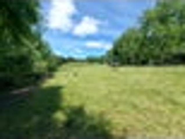 Land for sale in Northland