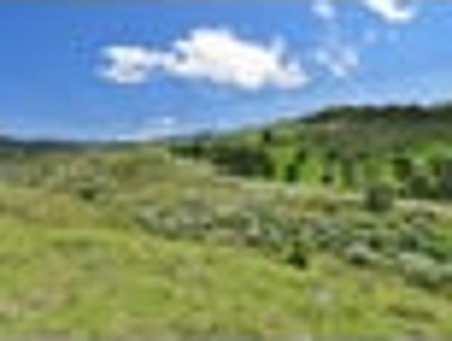 Land for sale in Kawau Island
