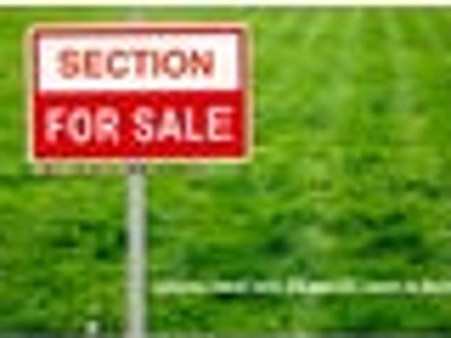 Land for sale in Awhitu