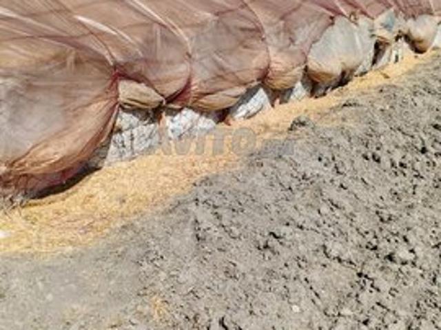 Propriété vente à Tissa, Taza-Al Hoceïma-Taounate