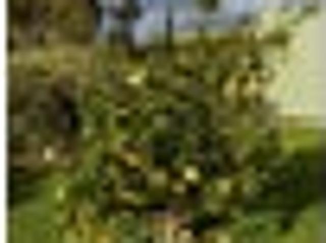 House for sale in Maungatapere, Northland