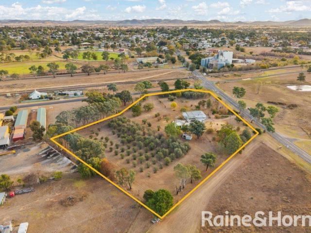 House for sale in Gulgong, New South Wales