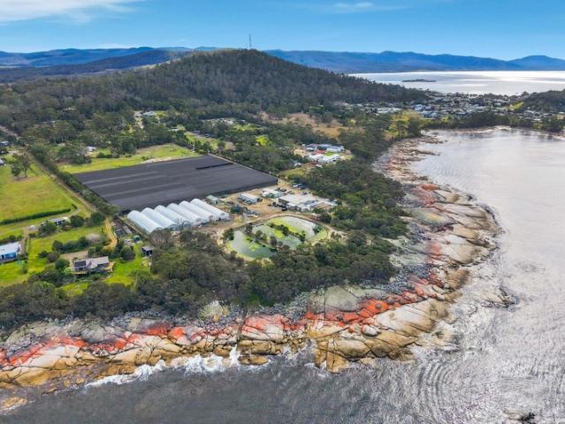 Property for sale in Bicheno, Tasmania