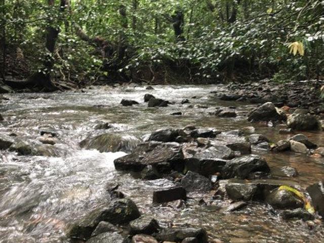 Land for sale in Cape Tribulation, Queensland