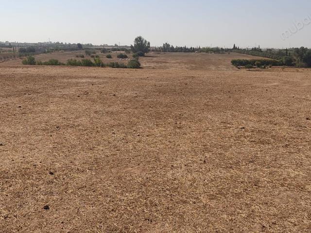 Terrain vente