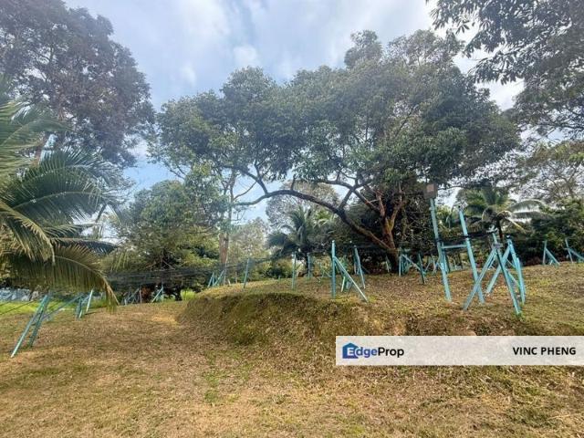 Shop for sale in Raub