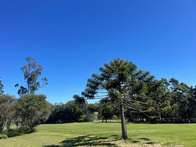 Land for sale in Tallwoods Village, New South Wales