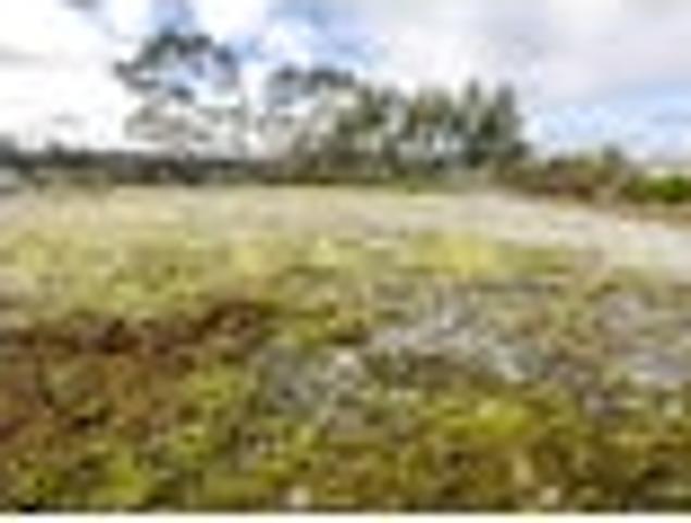 Land for sale in Kaniere, West Coast