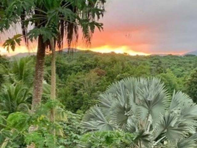 Maison vente à Guadeloupe