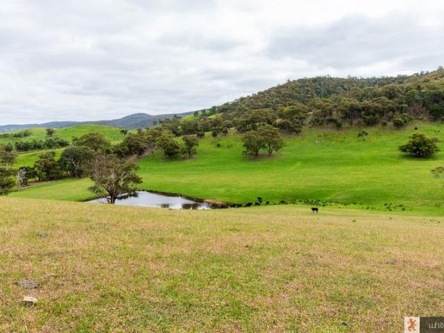Land for sale in Camerons Creek, Victoria