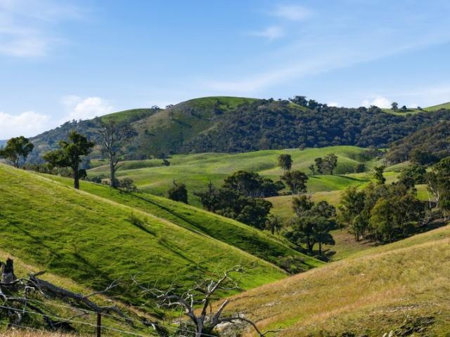 Property for sale in New South Wales