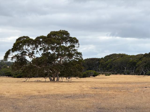 Cottage for sale in Seddon, South Australia