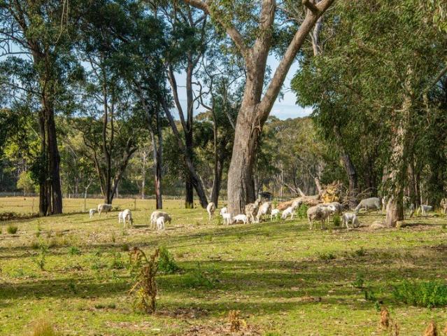 Land for sale in Mangrove Mountain, New South Wales