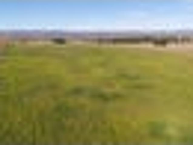Land for sale in Otakou