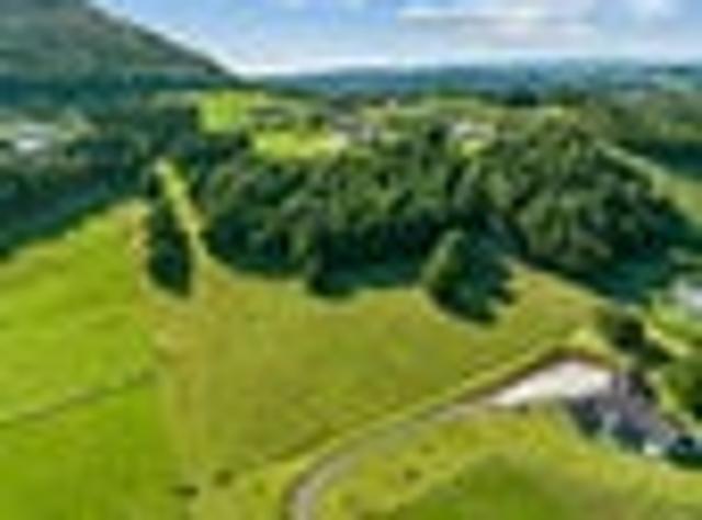 Land for sale in Northland