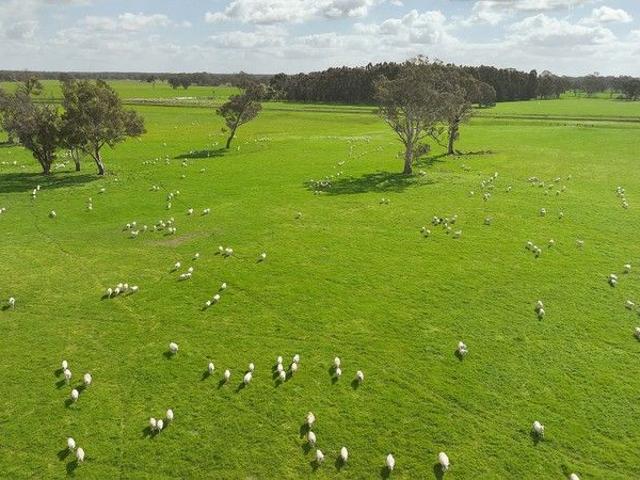 Cottage for sale in Comaum, South Australia