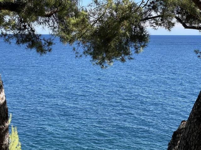 Maison vente à Nice, Roquebrune-cap-martin