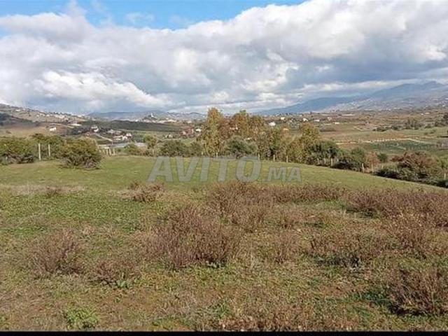Propriété vente à Tétouan, Tanger-Tétouan