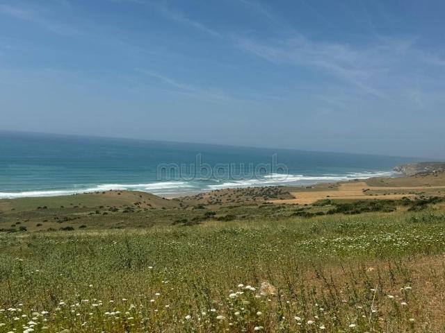 Terrain vente à Assilah, Tanger-Tétouan