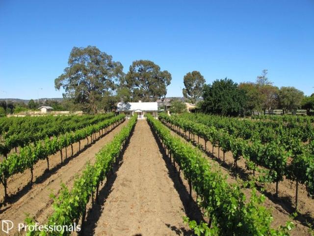 House for sale in Baskerville, Western Australia
