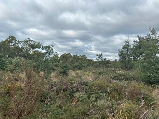 Property for sale in Reedy Marsh, Tasmania